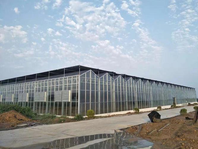植物工廠的技術有哪些優(yōu)勢？
